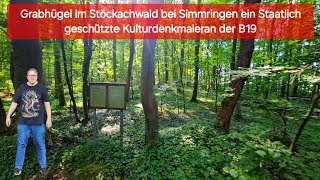 Grabhügel im Stöckachwald bei Simmringen ein Staatlịch geschützte Kulturdenkmaleran der B19 [upl. by Rurik466]