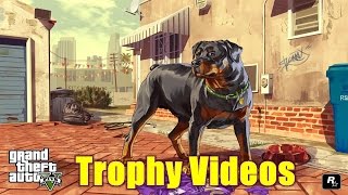 GTA 5  Trophae Selbsternannter Kassenwart Alle 20 Läden Locations 100 Trophy Guide [upl. by Fachanan970]