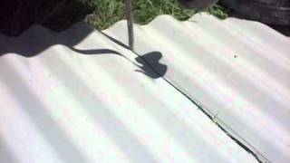 how to cut corrugated iron longways easily with 3 handtools [upl. by Winn]