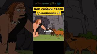 Как собаки стали домашними 😅✨ гриффины familyguy сериал [upl. by Ahilam]