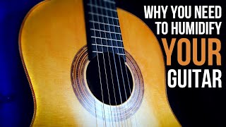 GUITAR TIP Why you NEED to humidify your guitar [upl. by Ellenor]