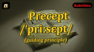 n Precept meaning guiding principle with 5 examples [upl. by Arutnev945]