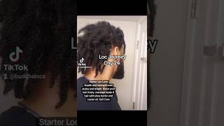 Day 24 Tips For Starter Locs locs starterlocjourney haircare [upl. by Eromle434]