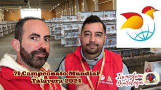 71 Mundial de Talavera 2024 [upl. by Leiru]