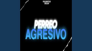 Perreo Agresivo Remix [upl. by Saduj]