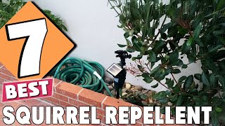 Top 7 Best Squirrel Repellents of 2024 Keep Squirrels Away [upl. by Marjy]