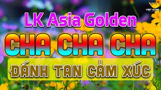 LK Cha Cha Cha Music 2024 Đánh Tan Cảm Xúc  Hoà Tấu Cha Cha Cha Band 2024  Asia Golden Cha Cha Cha [upl. by Michelsen]