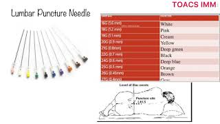 Lumbar Puncture Needle  Parts  Uses  Sites  Complications  How to Perform Lumbar Puncture [upl. by Reham]