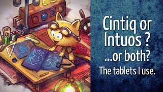 Cintiq or Intuos or both The tablets I use [upl. by Eneryt]