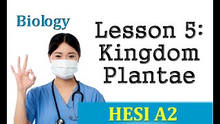 HESI Biology Review  Lesson 5 Kingdom Plantae [upl. by Cedric990]