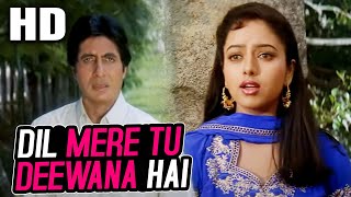 Dil Mere Tu Deewana Hai Sad  Kumar Sanu  Sooryavansham 1999 Songs  Amitabh Bachchan Soundarya [upl. by Ezaria]