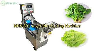 MNS801 Vegetables Cutting Machine [upl. by Feune314]