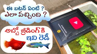 BALLOON PLATY amp ZEBRA BREEDING SIZE FISHS  SaiKrishnaTechy play botton review  AK AQUA TELUGU [upl. by Bekha]