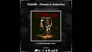 TILIKUM  Flowers In Antarctica  2024 [upl. by Bogosian]