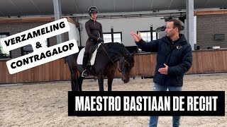 DE BESTE TIPS VOOR CONTRAGALOP VAN BASTIAAN DE RECHT [upl. by Llertal224]