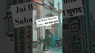 Jai Baba Murada Saha  जय बाबा मुराद शाह trending ytshorts shorts [upl. by Larochelle991]