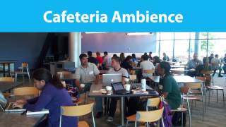 10 MINUTES  Cafeteria Ambience CC BY 40 [upl. by Olegnad545]