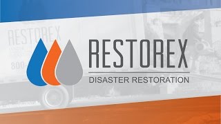 Restorex Disaster Restoration  Quick Company Overview [upl. by Geithner]