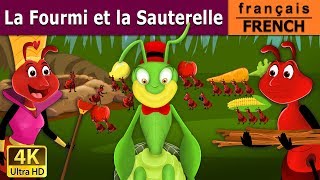 La Fourmi et la Sauterelle  Ant And The Grasshopper in French  Contes De Fées Français [upl. by Cavil]