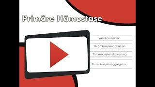 Primäre Hämostase [upl. by Glassco867]