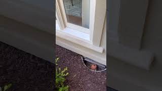 DIY Rotten Windowsill Repair diyproject homediy diy workday lifestyle dailyvlog homeproject [upl. by Annauj]