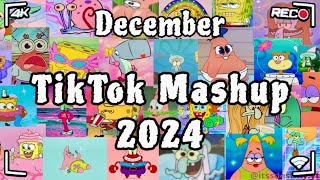 Tiktok Mashup December ❤️2024❤️ Not Clean [upl. by Gerhardt]