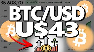 BITCOIN A 43 MIL DOLARES EM 2024 VALE A PENA INVESTIR EM BITCOIN HOJE [upl. by Loseff]