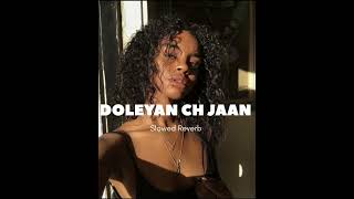 Jelly  DOLEYAN CH JAAN  Slowed Reverb  latest Punjabi song [upl. by Yadsnil]