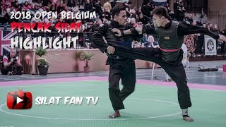 2018 OPEN BELGIUM PENCAK SILAT HIGHLIGHT [upl. by Starobin91]