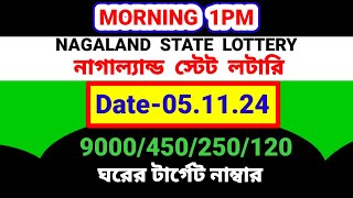 0511 2024 9000450 টাকা ঘরের middle part number target today। Nagaland state lottery Sambad [upl. by Itsirc369]