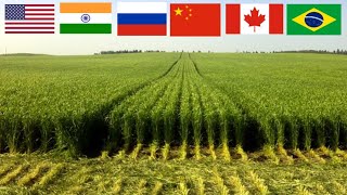 TOP 10 Countries with the most arable land in the world [upl. by Ahsenev]