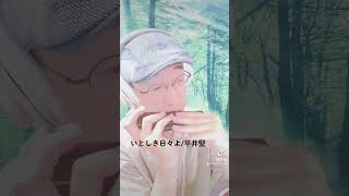 いとしき日々よ／平井堅【クロマチックハーモニカ】 [upl. by Dawkins723]