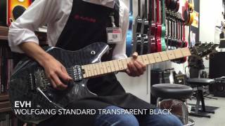 EVH  Wolfgang Standard Transparent Black リードトーン 【石橋楽器新宿店】 [upl. by Narmis3]