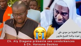 Ch Aly Diagana présente ses condoléances à Ch Harouna Gackou  abonnezvous [upl. by Melena]