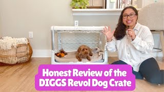 Honest Review of the DIGGS Revol Dog Crate [upl. by Pellet84]