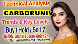 Unlocking the Potential Carborundum Universal Limited Technical Analysis [upl. by Esekram]