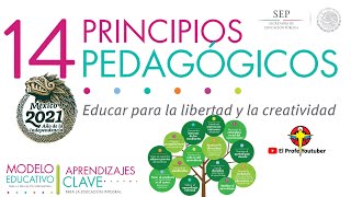 14 Principios Pedagógicos Nuevo Modelo Educativo 2021  Primer Dominio [upl. by Emilie]