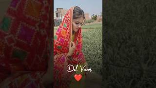 New Video On Sheh 2 Song ❤️Singga 🥰shorts punjabisong punjabivideo singga ☺️ [upl. by Dion]