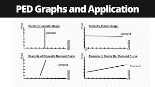 PED Price Elasticity of Demand Graphs and Application [upl. by Notsecnirp]