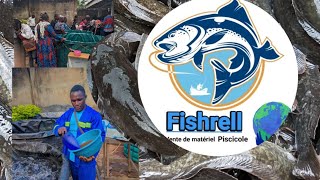 Comment nourrir les poissons en bac hors sol  Fishrell  La pisciculture samaaugusting8419 [upl. by Ardried]