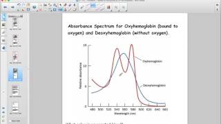 Proteins UV Vis Spectroscopy Analysis [upl. by Adnima]