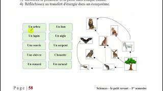 unite 1  concept 3  cinquième primaire  لطلب الكتاب اون لاين 01033439737 [upl. by Raphael]