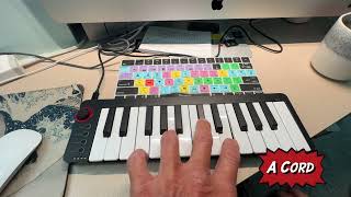 How to play cords on Donner Mini Midi Keyboard [upl. by Gninnahc]