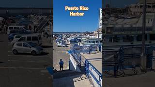 Gran Canaria Puerto Rico Harbor [upl. by Takken311]