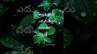 Telugu whatsapp status Telugu Dialouge Status Emotional status Telugu whatsapp videos shorts [upl. by Anneuq]