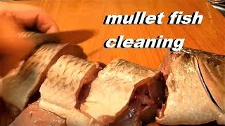 How to clean mullet fish fishrecipe [upl. by Wheeler664]