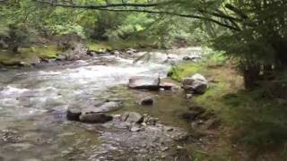 Chalk Creek passing thru Chalk Lake Campground [upl. by Buskirk53]