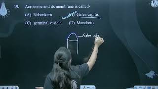 Acrosome and its membrane is called [upl. by Enimrej]