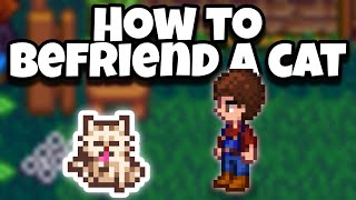 How to befriend a cat in stardew valley all heart events [upl. by Naig]