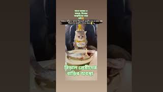 Meow birthday cat sorts kitten funny kucing cute pets pet petlover catlover vairalvideo [upl. by Esserac]